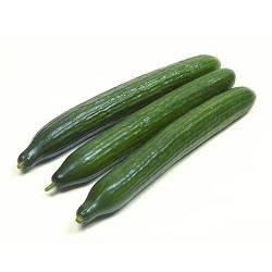 خیار سبز درختی